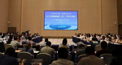 對接RCEP新機遇，共謀貿易物流新篇章——中國國際貨運代理協會考察團赴我市開展產業合作對接